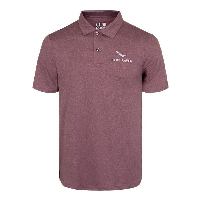 2024 Sales Polo
