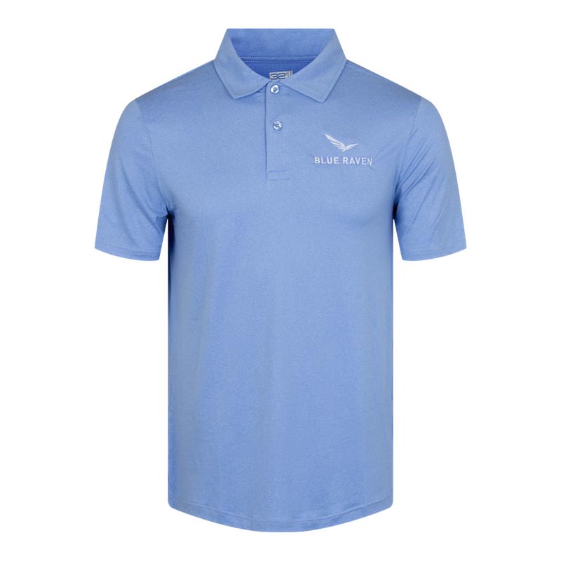 Alternative view of 2024 Sales Polo